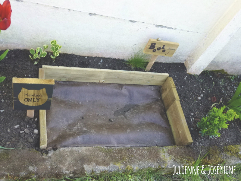 Pour En Finir Simplement Avec Les Crottes Des Chats Julienne Jos phine