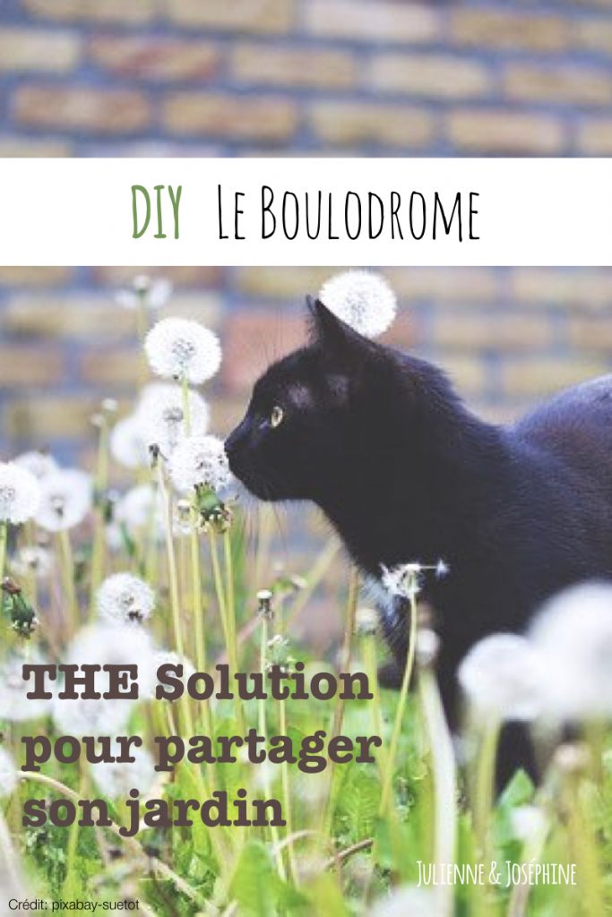 Pour En Finir Simplement Avec Les Crottes Des Chats Julienne Jos phine