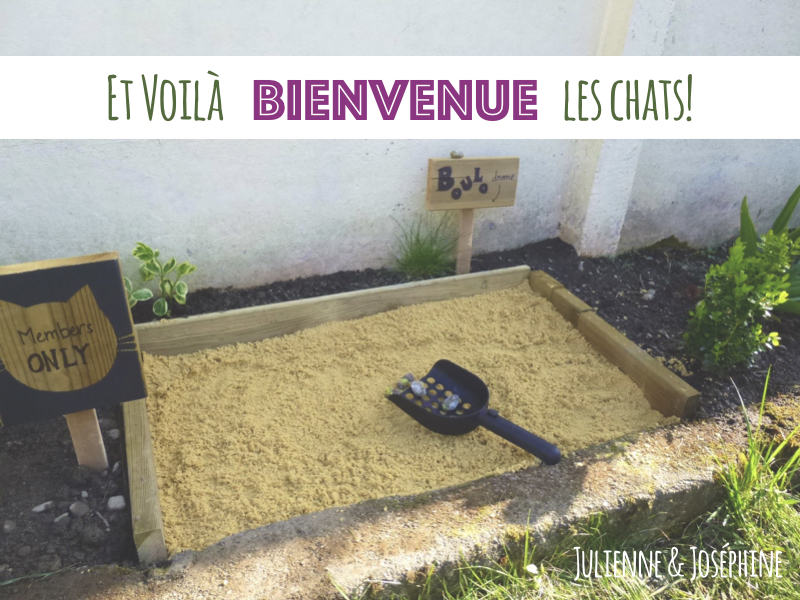 Pour En Finir Simplement Avec Les Crottes Des Chats Julienne Jos phine